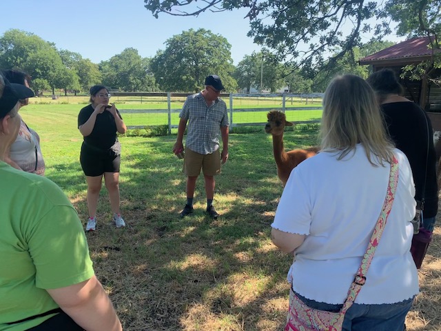 Nana's Pacas, Alpaca Farm Tour, June 22, 2024