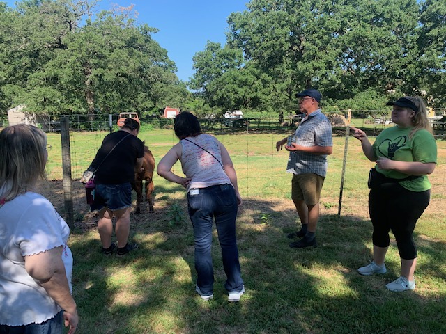 Nana's Pacas, Alpaca Farm Tour, June 22, 2024