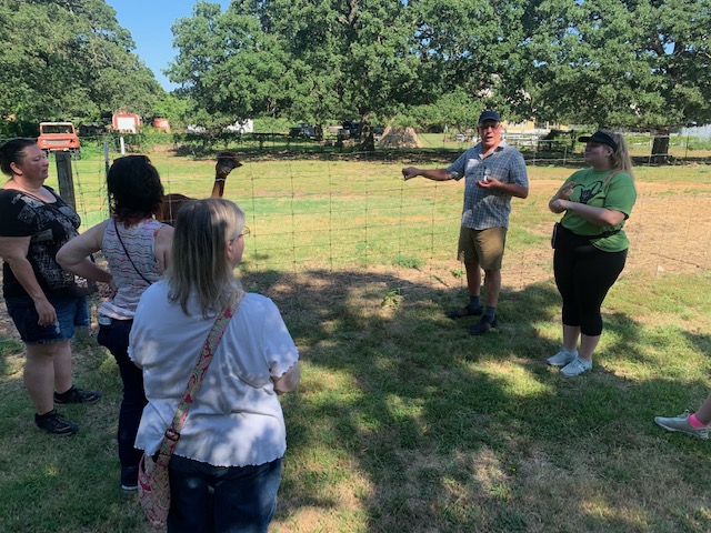 Nana's Pacas, Alpaca Farm Tour, June 22, 2024