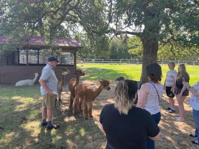 Nana's Pacas, Alpaca Farm Tour, June 22, 2024